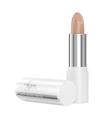 AYER ANTI-AGING BALSAMO LABIAL SPF15 15GR AYER