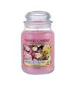 YANKEE FRESH CUT ROSES VELA 623GR SALVATORE FERRAG