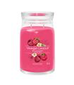 YANKEE RED RASPBERRY VELA 567GR SALVATORE FERRAGAM