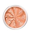 LILY LOLO COMPACTO COLORETE JUICY PEACH 3GR LILY L