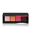 SHISEIDO ESSENTIALIST EYE PALETTE 08 JIZOH STREET