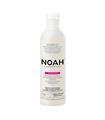 NOAH COLOR PROTECT CHAMPU 250ML SALVATORE FERRAGAM