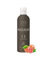 NOAH ORIGINAL ORGANIC CHAMPU VOLUMIZANTE 250ML SAL