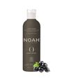 NOAH ORIGINAL ORGANIC MASCARILLA HIDRATANTE 250ML