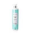 DYAL LOVELY LISS CHAMPU CABELLO LISO 500ML DYAL