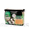 REPARADOR PINCHAZOS KIT  SMART REPAIR