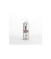 PINTURA SPRAY ACRILICA EVOLUTION BRILLO 270 CC RAL